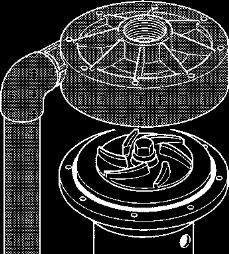 NOTA: Le pompe fino alla grandezza M40 montano un O-ring all interno del foro della girante.