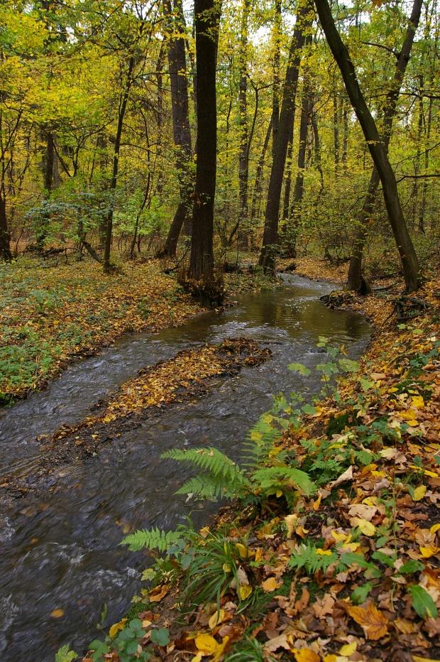 KUNRATICKÝ POTOK Délka toku: 13,5 km Přítoky: Vestecký potok, Roztylský potok, potok u ZOO, potok K Jelenám, Kateřinský potok, od Újezda, od Sladkovského rybníka, od Šmatlíka Správa toku: - úsek