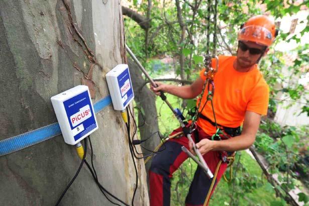 Co můžeme dále nabídnout Dřevovýrobu v naší truhlárně Arboristické ošetření dřevin, vč.