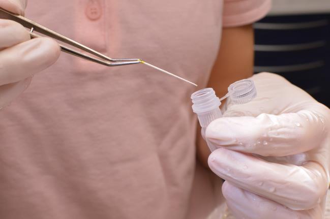 vložíme do plastového krytu odběrového setu a vše v obálce zašleme do laboratoře. Výsledky testů jsou zhotoveny do 10-ti dnů od doručení vzorku do laboratoře.