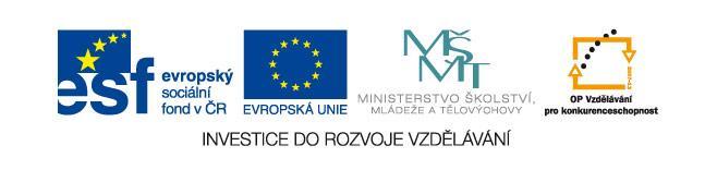 Tato diplomová práce byla vytvořena za finanční podpory projektu CZ.1.07/2.3.00/20.
