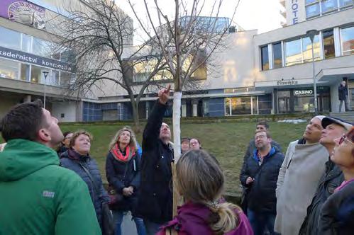 SEMINÁŘ VÝSADBA STROMŮ 19.2. Jednou ze základních zahradnických dovedností je výsadba stromu.