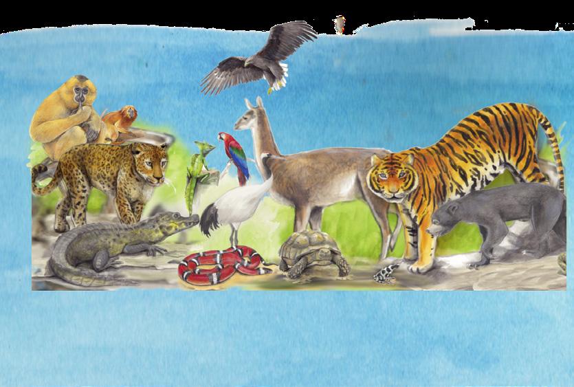 ZOO V KUFRU I.
