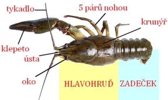 použit) 400 p.n.l.