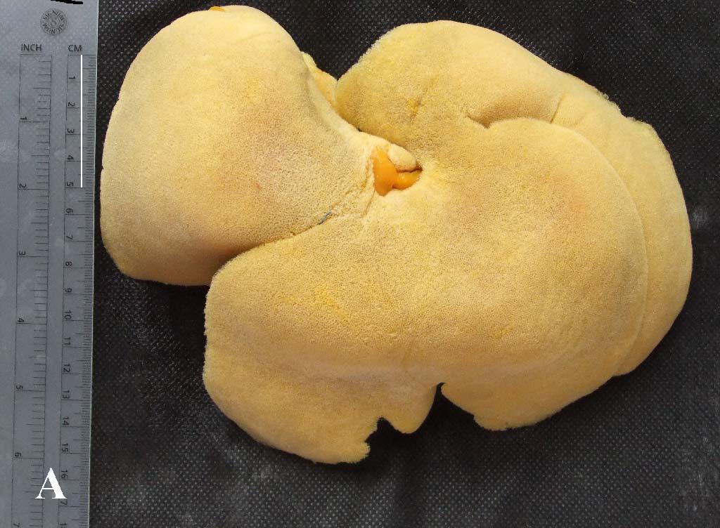 Obrázek 7.