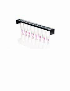 FRAMESTAR TECHNOLOGIE PCR stripy FrameStrip 07 LABORATORNÍ PLASTIK Unikátní, dvoukomponentní technologie Kombinace tenkostěnných polypropylenových zkumavek (optimální teplotní přenos) a pevného