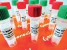číslo Produkt Množství v balení (ks) Cena (Kč/balení) Genedirex QP001-0100 Novel Express qpcr System-ROX I 100 reakcí (20 µl) 1 790, QP002-0100 Novel Express qpcr System-ROX II 100 reakcí (20 µl) 1