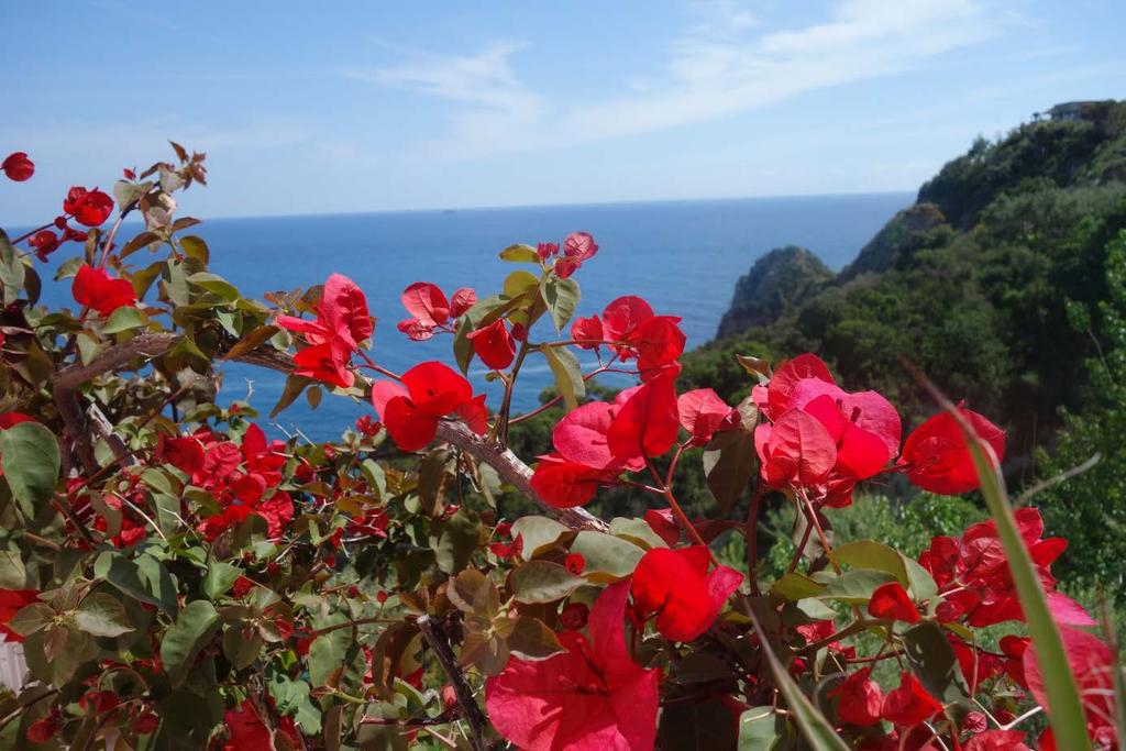 Znovuvobjevený ostrov Ischia perla v Neapolském zálivu Infocesta v r. 2005 a v r.