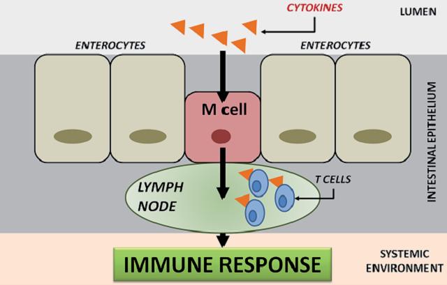 BI THERAPEUTICS HYPER-CONCENTRATION >10-6 M nanograms/milliliter DISEASE HEALTH-HOMEOSTASIS Physiological concentration HYPO-CONCENTRATION DISEASE femtograms/milliliter <10-15 M v nízkých dávkách v