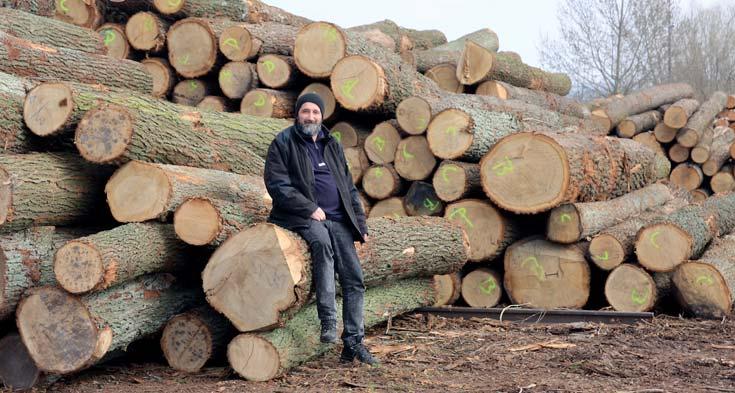 MATRIX Wood specialista na DUB Ing. Petr Kouřil je odpovědný za prodej dubových produktů.