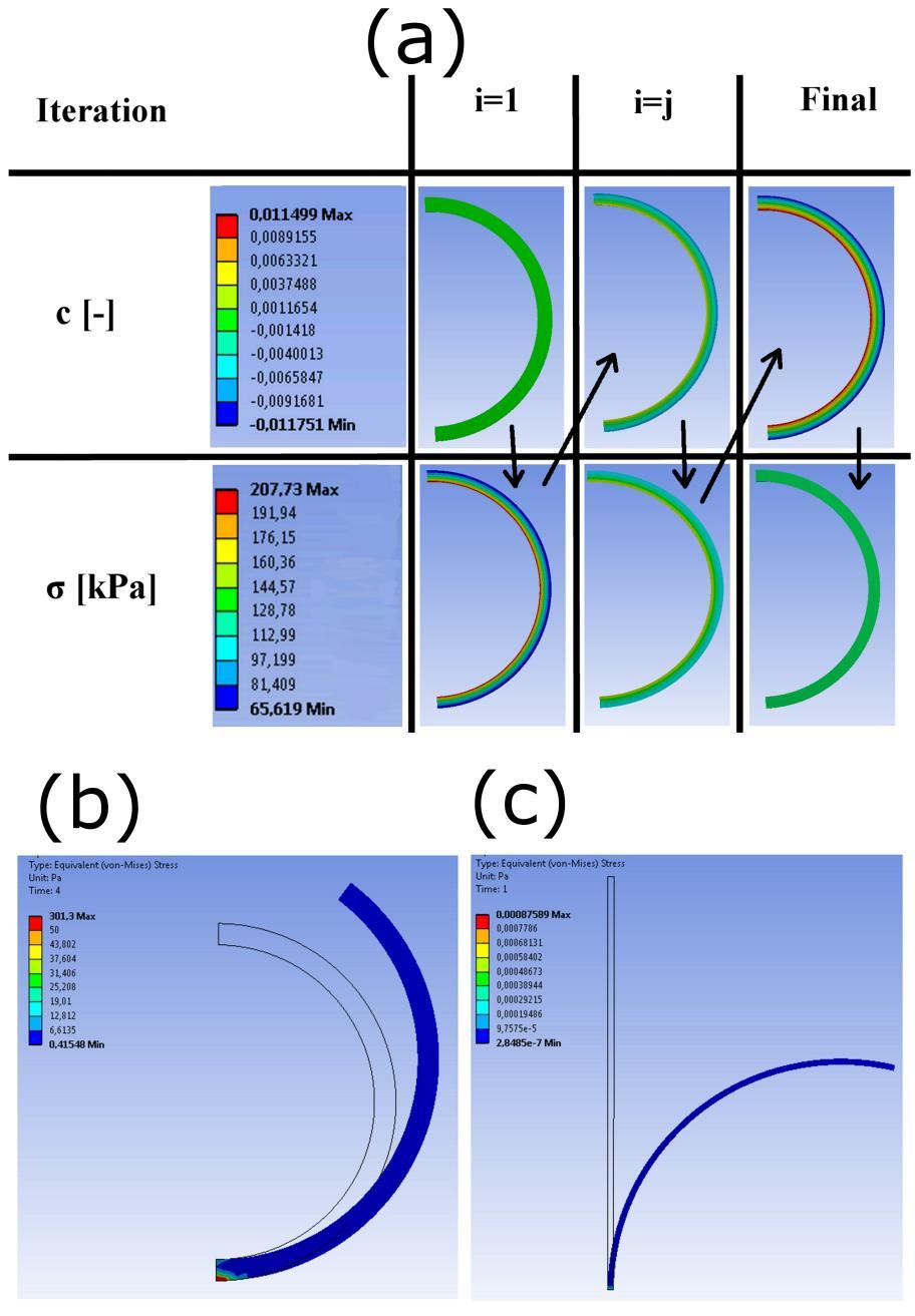 Appendix H: A numerical implementation for prediction of residual strains in AAAs Growing step In order to predict the volumetric growth, an incremental approach was used.