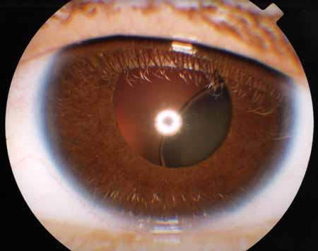 http://www.medstudents.com.