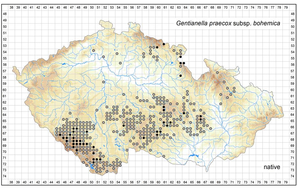 Distribution of Gentianella praecox subsp.