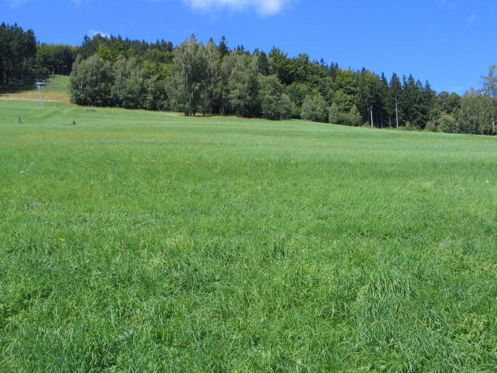 Obr. 2: Pohled na plochu RN5. RN6 (plocha rekreace na plochách přírodního charakteru - sjezdová trať): Plocha leží v EVL Keprník.