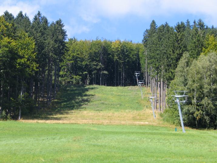 4: Pohled na jižní okraj plochy RN6 (lesní porost) ze