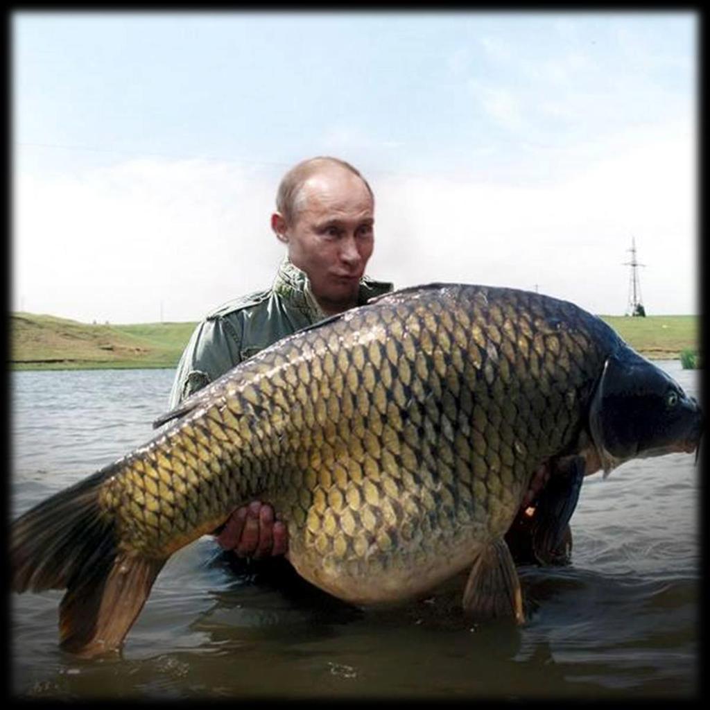 ÚLOVKY Z