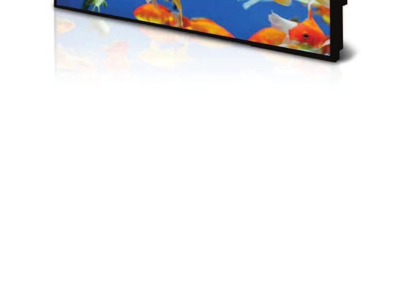 ULTRA HIGH BRIGHTNESS LCDS Fanless Fanes s