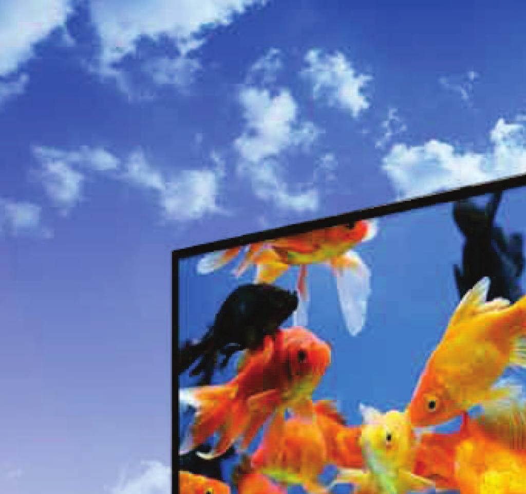 Ultra Bright 55" HIGH BRIGHTNESS 3500 NIT