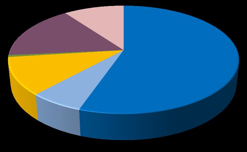 Výskyt Jako nejméně uţívaný se ukázal být pohyb vlnitý nebo klikatý (V), jeho výskyt byl zaznamenán pouze v 1 % celkové produkce pohybu u