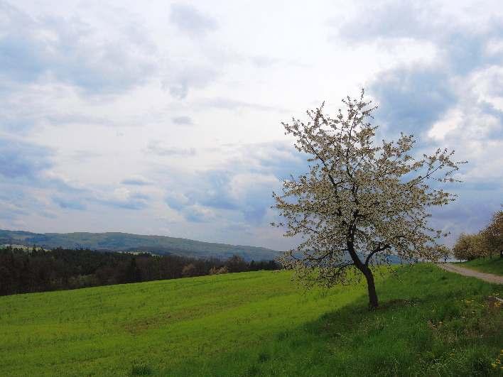 foto: Nad a