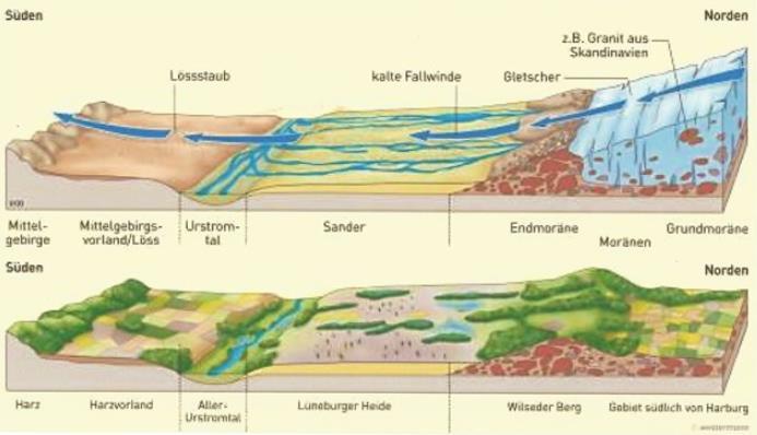 Nížiny severní části střední Evropy Vliv zalednění na geomorfologii nížin morény protažené ve směru