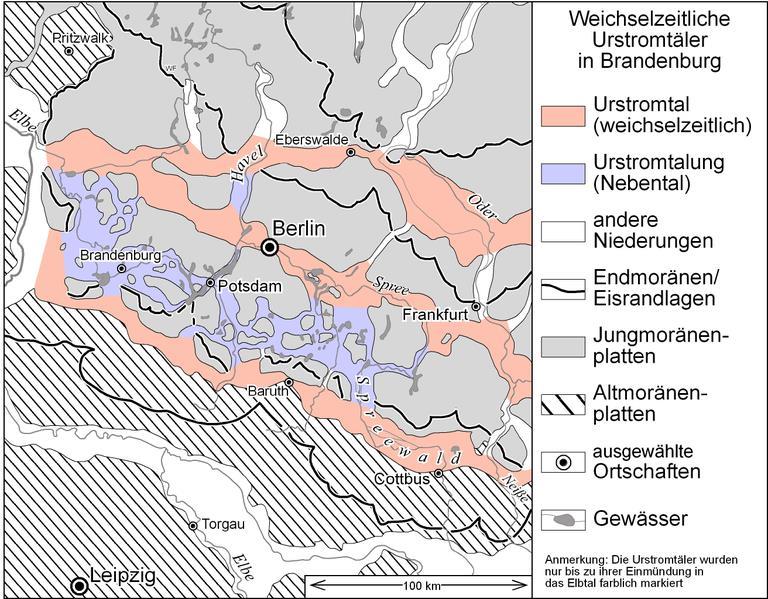 písků na severu a spraší na jihu na morénách a písčinách oligotrofní vegetace (bory, vřesoviště,