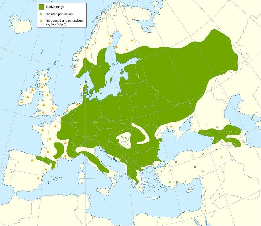 subkontinentální středoevropské areály