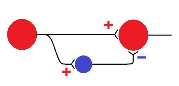 EPSP EPSP Sumace prostorová časová Normální stav Epilepsie mezi záchvaty Epileptický záchvat EEG intracelulární záznam 0-20 -40-60 -80 non- NMDA EPSP non- NMDA EPSP PDS NMDA EPSP AHP GABA PDS =