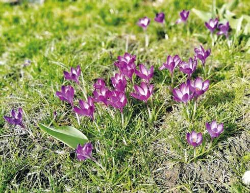Jarní Praha 14 ve znamení zábavy ZIMA JE PRYČ A PRAHA 14 SE PROBOUZÍ DO JARNÍCH MĚSÍCŮ.