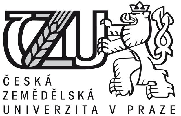 Česká zemědělská univerzita v Praze Provozně ekonomická fakulta Katedra informačních