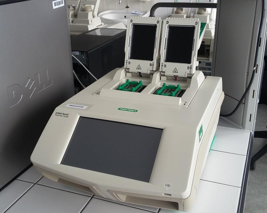 Izolátor nukleových kyselin QIAcube firmy Qiagen je schopen automatizovaného zpracování až