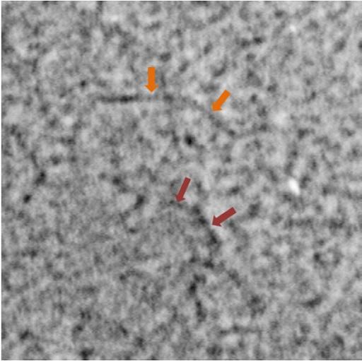 Uhlíkové nanokužely představují skupinu nových materiálů, které jsou v zájmu vědců z hlediska jejich role ve fosilních palivech, skladování vodíku a v nanotechnologiích. [7] 1.