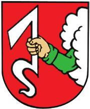 Realizované aktivity a projekty v roce 2010 Spolu jinak V podobném systému jednorázových akcí jsme poračovali také u dětí. Proběhly tématické odpoledne s klaunem či Mikulášská besídka.
