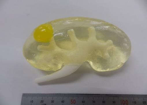 3D tisk lidských