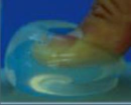 Hydrogel (NC Gel) Transparentní struktura