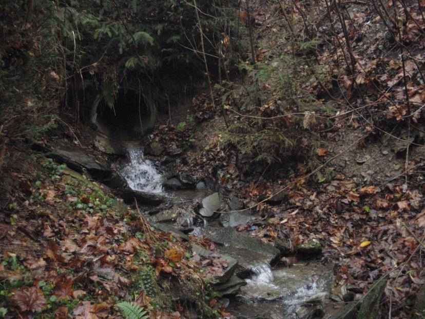 Křižovatka Uničovská, Krampolova Cyklostezka
