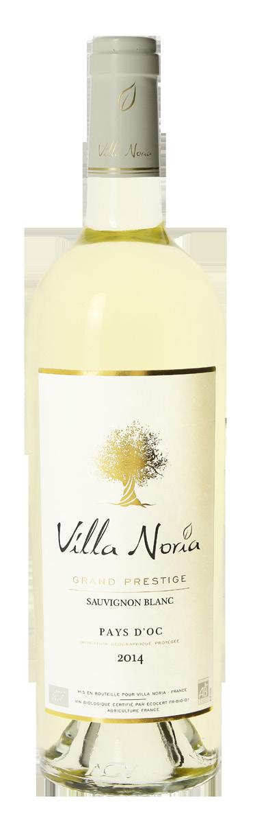 VILLA NORIA SAUVIGNON BLANC TYP Bílé, tiché, polosuché ODRŮDA Sauvignon Blanc PŮVOD IGP Pays d Oc OBSAH ALKOHOLU 12,5% ZBYTKOVÝ CUKR G/L 6,4 OBSAH KYSELIN G/L 4,56 SKLADOVÁNÍ 5 LET PŘI TEPLOTĚ 10 až