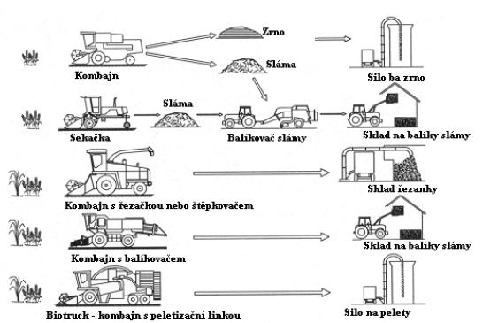 Sklizeň rostlin 9