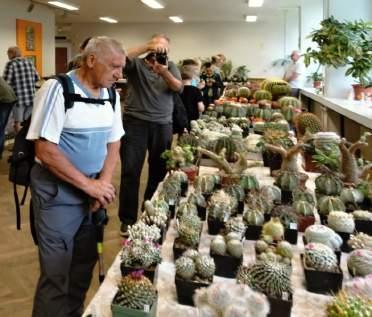 Převládaly především rody Gymnocalycium, Mammillaria, Astrophytum, Mediolobivia, Melocactus, Lobivia a další zajímavé kaktusy. Nechyběla ani pěkná kolekce sukulentních či kaudexních rostlin.