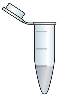 Anionty kyselin (CO 3 ) 2-, Cl -,