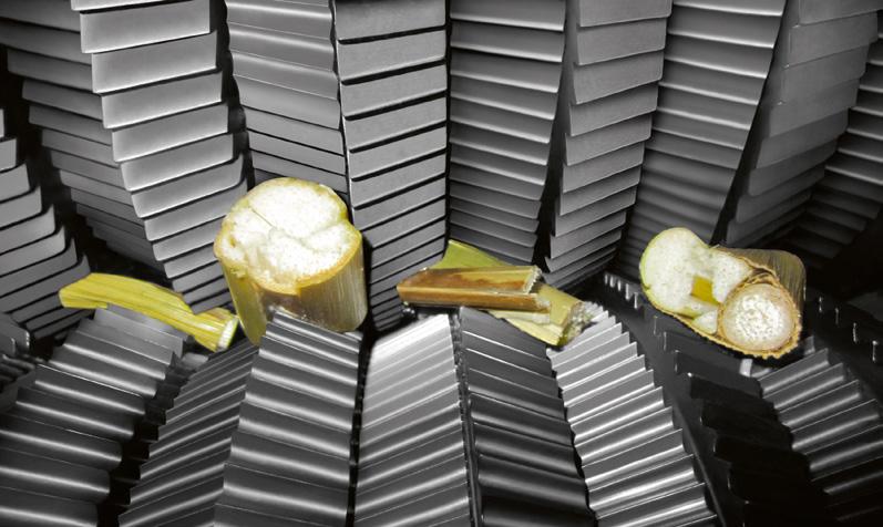 Praktické zkušenosti: získat více energie z krmiva. MULTI CROP CRACKER MAX Zemědělec Klaus Tiedmann a dodavatel silážování Friedel Kausemann o svých zkušenostech.