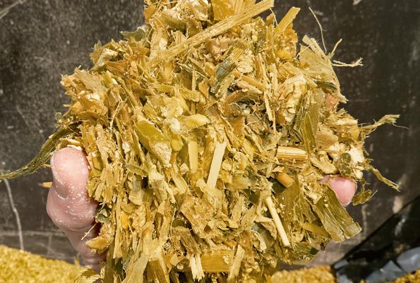 Tímto způsobem zlepšuje SHREDLAGE stravitelnost a účinnost kukuřičné siláže. To vede k vyšší produkci mléka a zároveň zlepšuje zdraví zvířat.