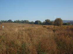 Abandoned land - intro Land abandonment is quite widespread process in all CEEC in last decades reflects substantial structural political and economical changes changes in ownerships changes in