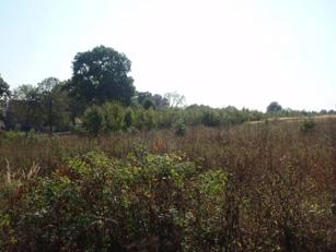 Conclusions potential abandoned land monitoring on EO data is technically feasible, but economically quite demanding as texture information is indispensable -> multitemporal VHR data twofold results: