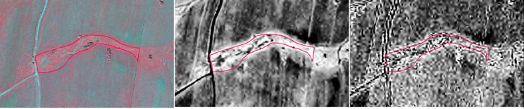 Spectral NDVI index, NDGI index Temporal Textural Gradient index