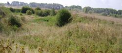 Abandoned land - definition ambiguous definition of abandoned land most of the definitions are driven by legislative need for evidence of ownership, taxation purposes or