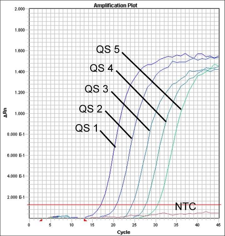 Obr. 27: Prkaz Kvantifikaních standard (Parvo B19 RG/TM QS 1-5) detekcí fluorescenního signálu FAM (ABI