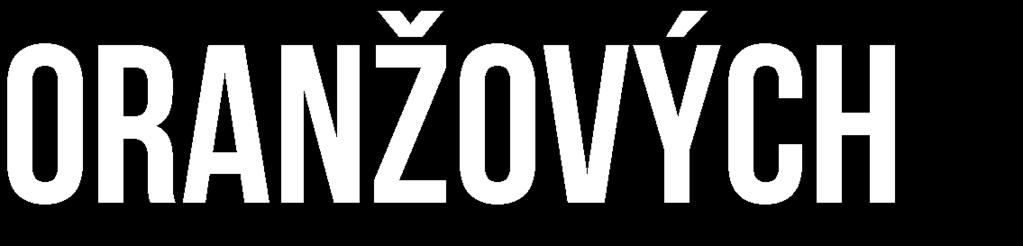 PŘES VŠECHNA ÚSKALÍ MINULÝCH LET POKRAČUJE V SOCIÁLNÍCH PROGRAMECH: MATERIÁLNÍ POMOC, AZYLOVÁ UBYTOVNA, PRACOVNÍ