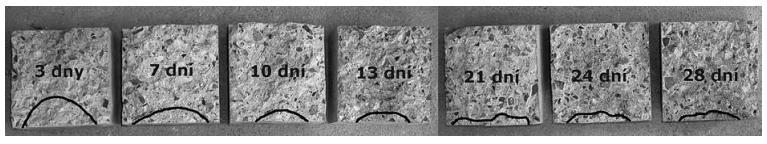 provedena už po 3 dnech od vytvoření vzorků. Poté následovalo testování v určitých časových intervalech až do stáří vzorku 28 dnů. Obr. 13 znázorňuje geometrii průsaku na vzorcích různého stáří.