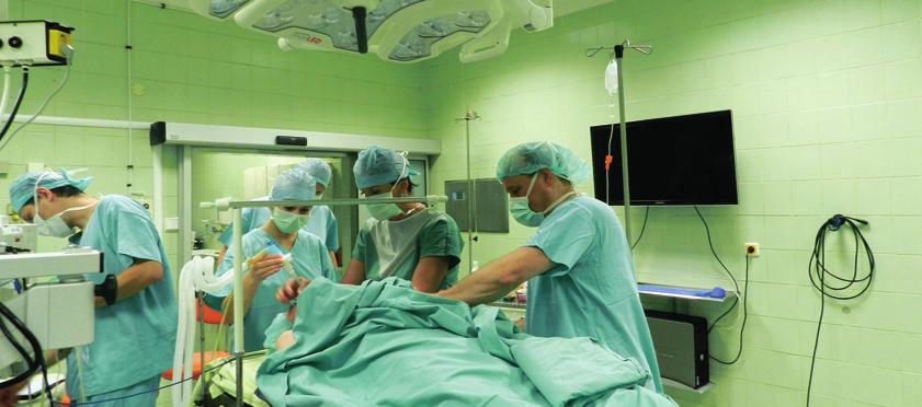 Léčebná a preventivní péče Statistika výkonnosti v letech 2008 2008 2009 2010 2011 akutní lůžka průměrná obložnost v % 80,6 79,8 78,6 75,5 79,3 76,9 průměrná ošetřovací doba (ve dnech) 5,7 5,7 5,6
